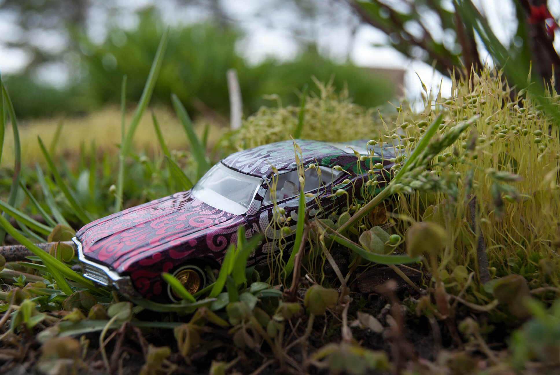Mini Cars Moss