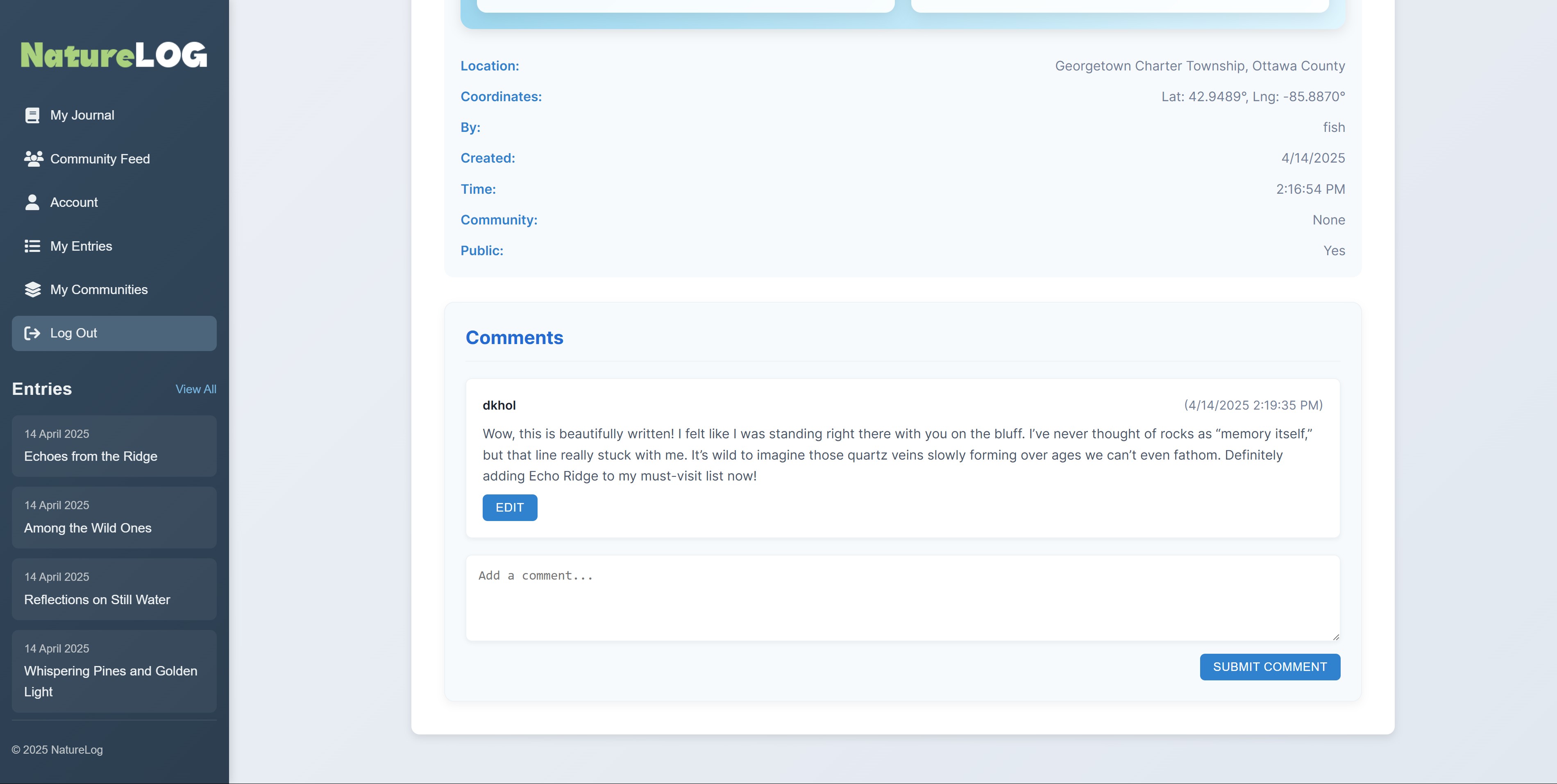 Web Design