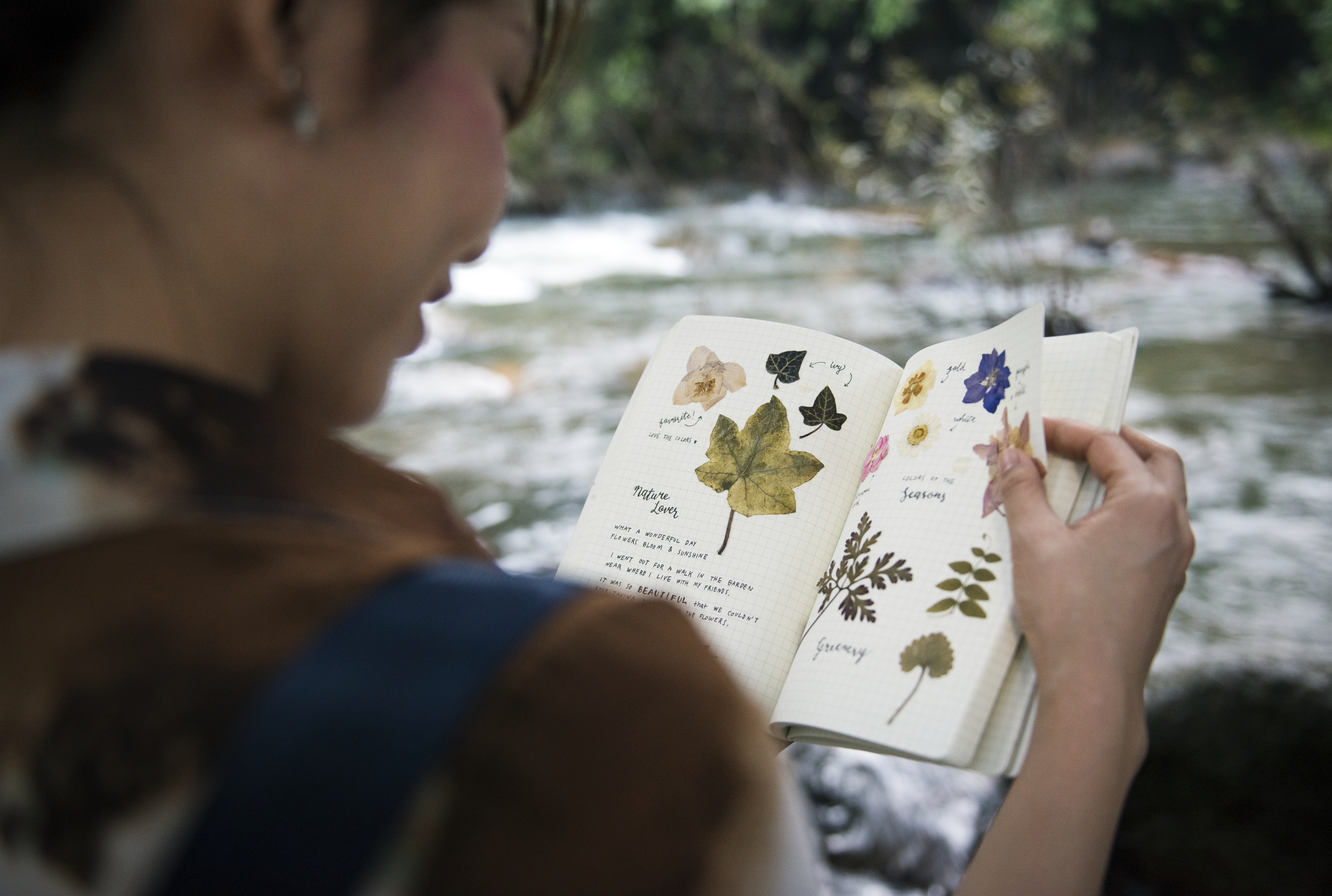 NatureLog Wireframe