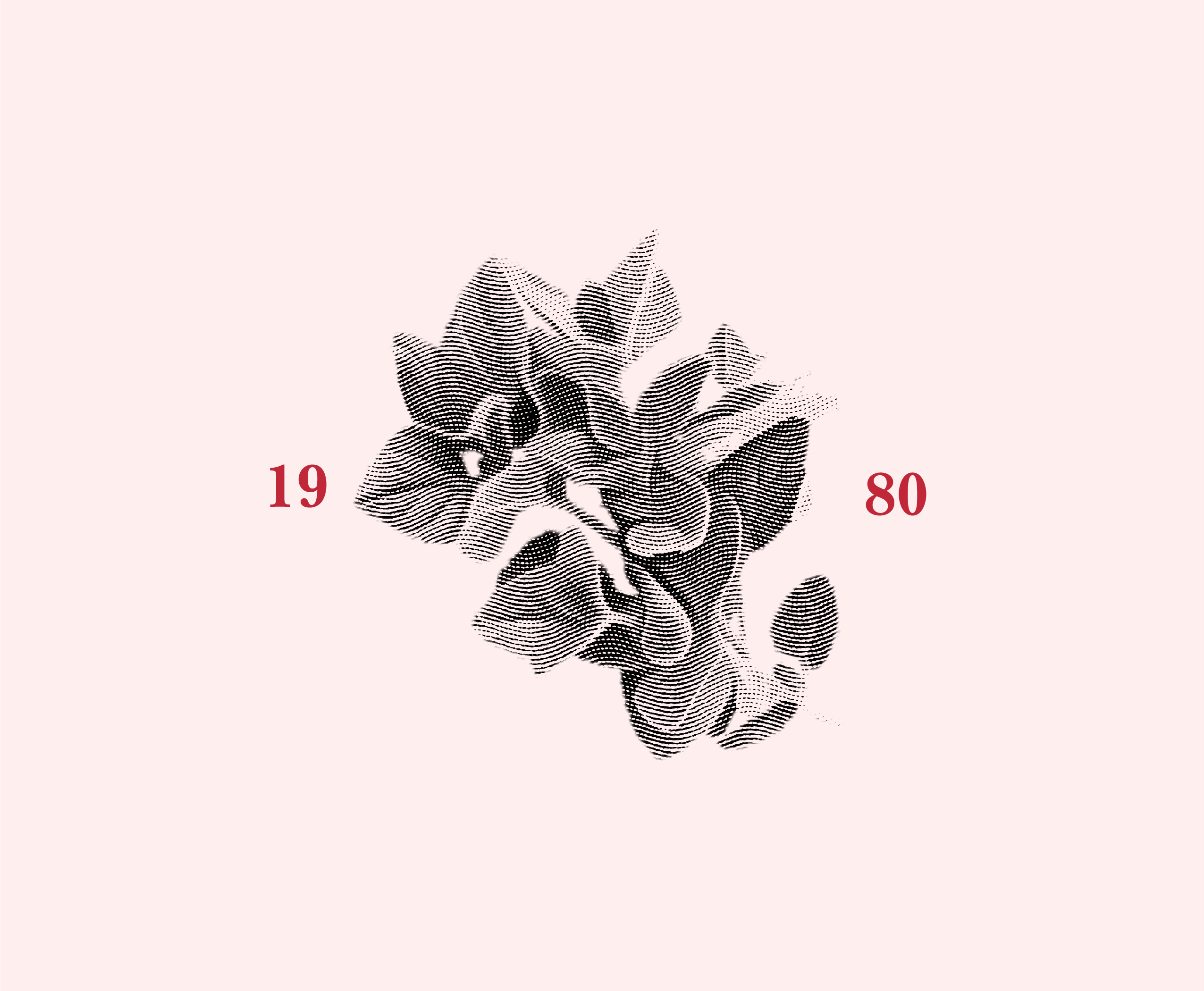 Web Design Label
