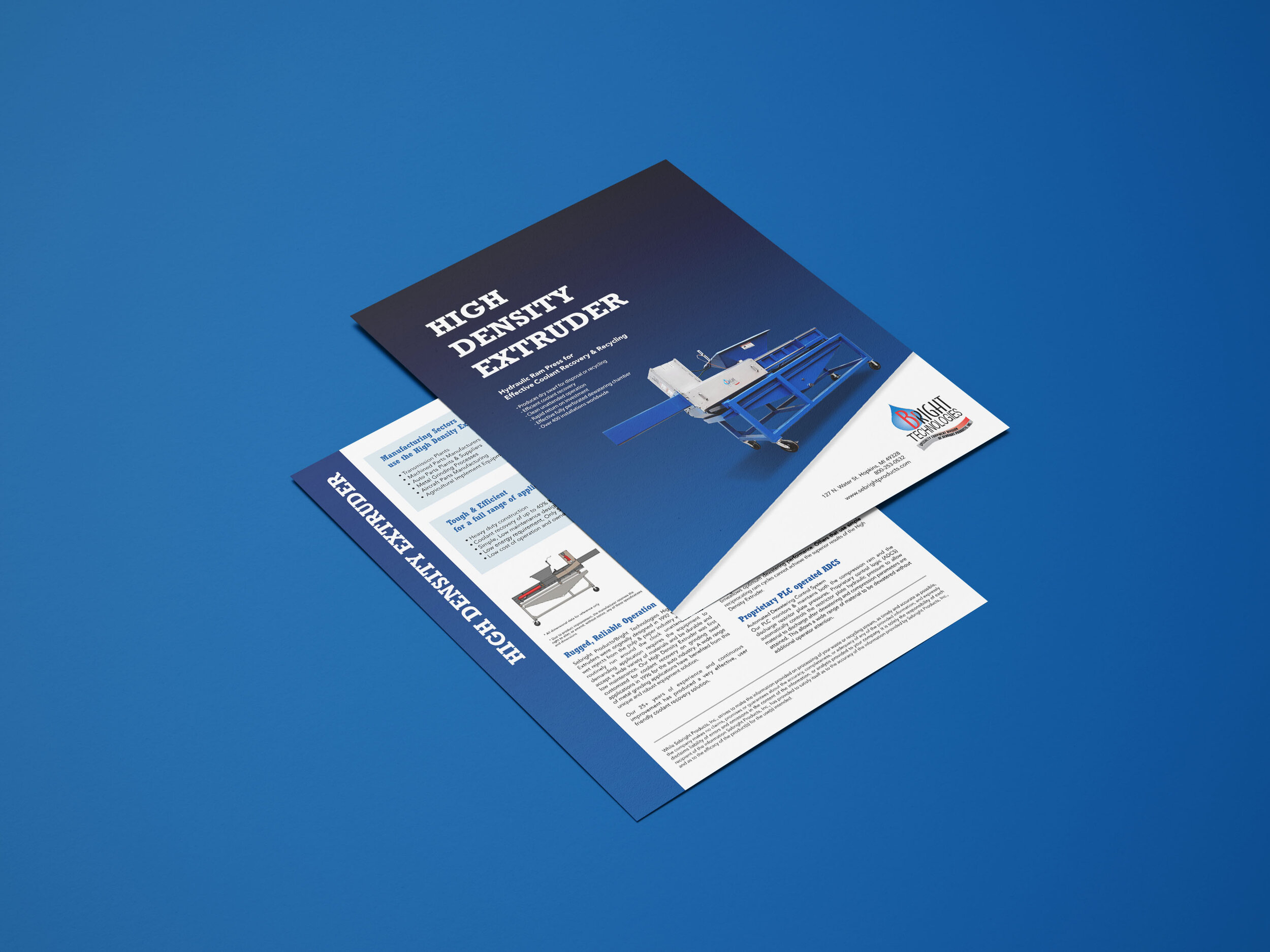 Sebright Flyer